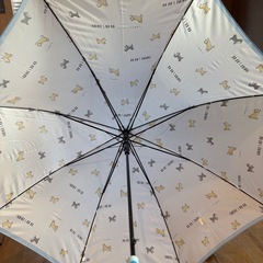 値下げ55センチ　ガールズ傘の画像