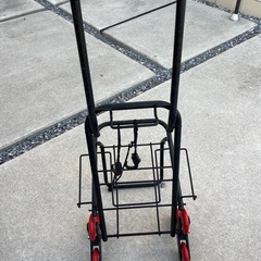 キャリアーの画像