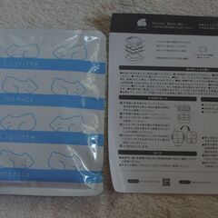 ☆Claritte お当箱 ミントグリーン 800ml食洗機対応 レンジ対応◆保冷剤がそのまま入る特殊設計の画像