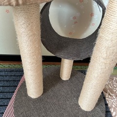 キャットタワーの画像
