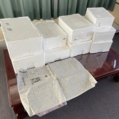 発泡スチロール　9個の画像