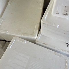 発泡スチロール　9個の画像