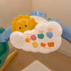 プーメリーの画像