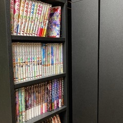 本棚（漫画約500冊収納）の画像
