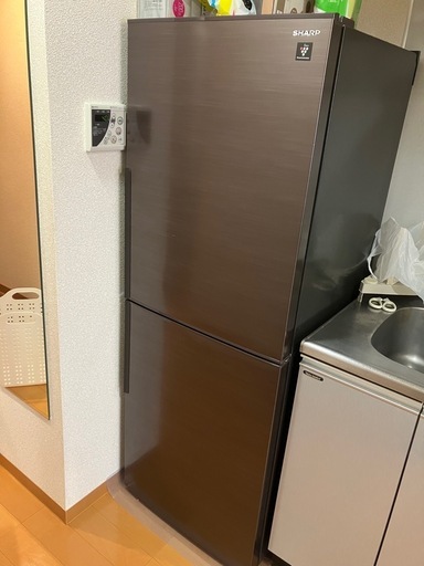 冷蔵庫シャープ SJ-PD28F-T 2020年製280L (Haru) 仙川のキッチン家電