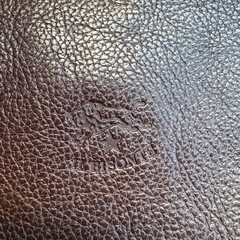 IL BISONTEショルダーバッグの画像