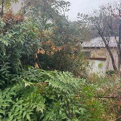 便利屋　猫の手