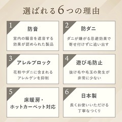 8帖カーペットの画像