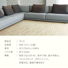 8帖カーペットの画像