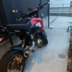 HONDAグロム125 JC61   
の画像