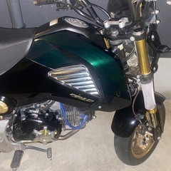HONDAグロム125 JC61   
の画像