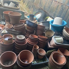 植木鉢　全て引き取り限定の画像