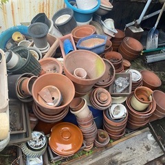 植木鉢　全て引き取り限定の画像