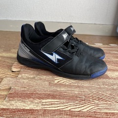 靴　19センチの画像