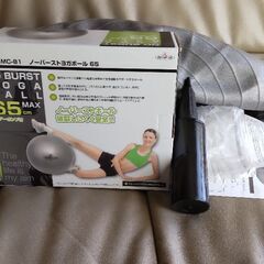 バランスボール65cm　ポンプ付きの画像