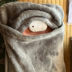 蓄熱式コードレス湯たんぽの画像