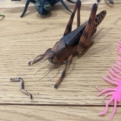 巨大サイズ他　昆虫のおもちゃセット　まとめ売り　西松屋　ダイソーなどの画像