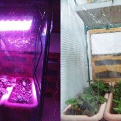 ☆彡高性能SMD使用!植物育成LEDライト!!水槽照明!!!熱帯魚水槽・観賞魚・水草育成・アクアリウム・!新品未使用品!!の画像