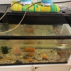 水槽の画像