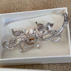 珊瑚ブローチの画像