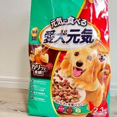 12/19まで 愛犬元気 小分けパック3袋 ドッグフードの画像