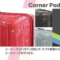 新品未使用　大容量キャリーバッグの画像