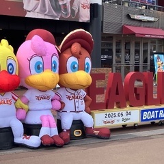 楽天応援仲間募集‼️熱く楽しく応援しよう❗️