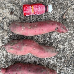 富山県南砺市産べにはるか10kgの画像