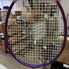 ロ2512-382 ヨネックス　GRAPHREX813 バトミントンラケット　中古の画像