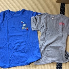 
T シャツ（160）の画像