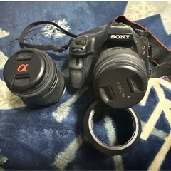 SONY αシリーズ デジタル一眼レフカメラの画像