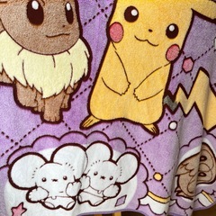 ポケモンブランケットの画像