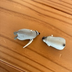 タカラトミー　アニア　動物園&水族館　買い足しフィギュア付き！の画像