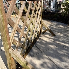 ラティス　再募集　無料！の画像