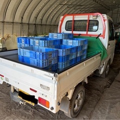 北海道より走行少なめスズキキャリィ4WD車検付き軽トラの画像