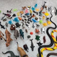 おもちゃの画像