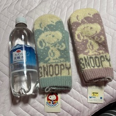 小さめ手袋2個値引き有り
の画像