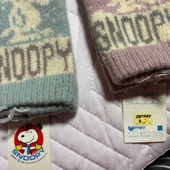 小さめ手袋2個値引き有り
の画像