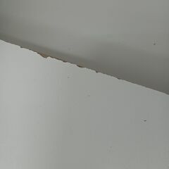 ★リユースのサカイ日立店★HJ8633 NITORI レンジ台 ホワイト H115×D40×W80 クリーニング済み の画像