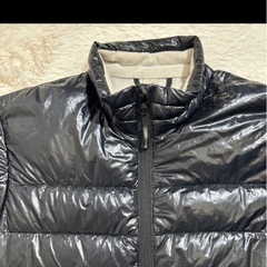 カナダグースダウンS
の画像