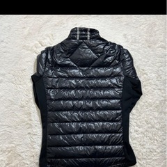 カナダグースダウンS
の画像