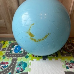 バランスボールの画像