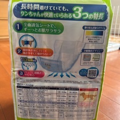 犬 オムツ Mサイズ の画像