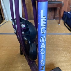 レッグマジックの画像