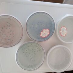 フタをしたままレンジOKの食器の画像