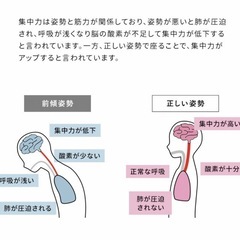 姿勢改善　チェア　プロポーションチェア　イス　バランスチェア　宮武製作所の画像