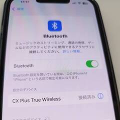 SENNHEISER CX Plus True Wireless ワイヤレスイヤホンの画像