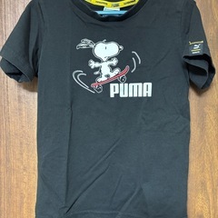 PUMA キッズTシャツ4枚と短パン1枚　116cmの画像