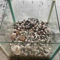 水槽セットの画像