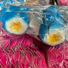 スポンジ素材のカラフルなプルメリア　　の画像